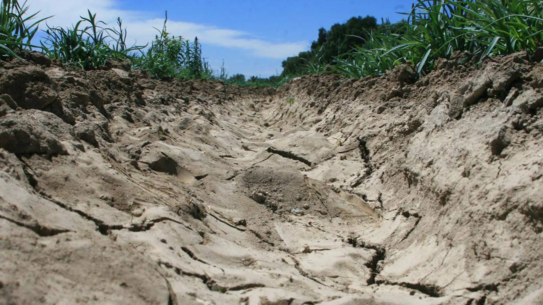 En las últimas dos décadas, las sequías en el estado de Puebla se volvieron más agresivas